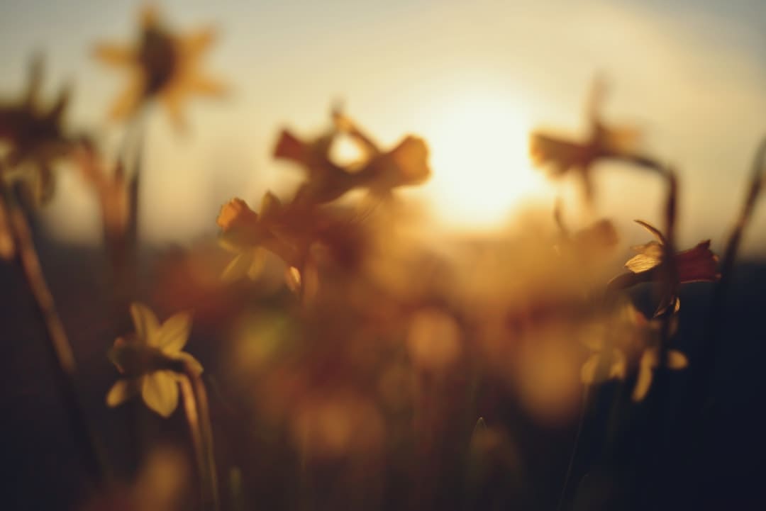 长春：“清凉经济”开释夏天消费新动能